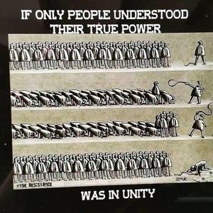 Meet your Posher, Menasse